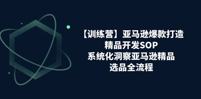 （11210期）【训练营】亚马逊爆款打造之精品开发SOP，系统化洞察亚马逊精品选品全流程-甄选网创