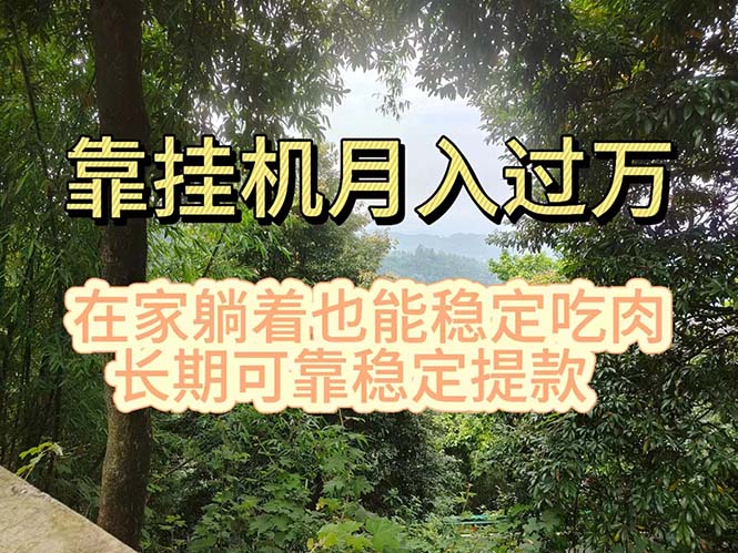 （11144期）挂机掘金，日入1000+，躺着也能吃肉，适合宝爸宝妈学生党工作室，电脑…-甄选网创