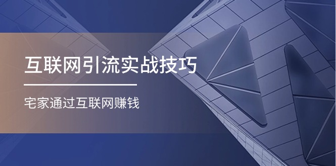 （11108期）互联网引流实操技巧(适合微商，吸引宝妈)，宅家通过互联网赚钱（17节）-甄选网创