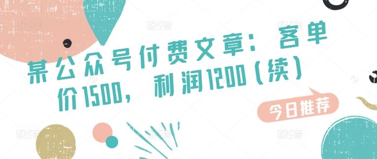 某公众号付费文章：客单价1500，利润1200(续)，市场几乎可以说是空白的-甄选网创