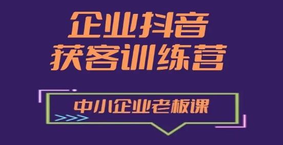 企业抖音营销获客增长训练营，中小企业老板必修课-甄选网创