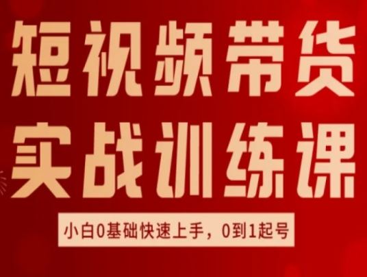 短视频带货实战训练课，好物分享实操，小白0基础快速上手，0到1起号-甄选网创