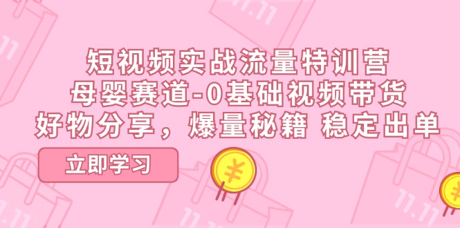 （11373期）短视频实战流量特训营，母婴赛道-0基础带货，好物分享，爆量秘籍 稳定出单-甄选网创