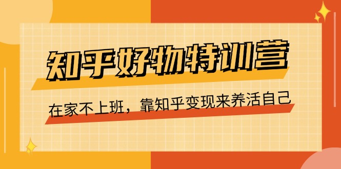 知乎好物特训营，在家不上班，靠知乎变现来养活自己（16节）-甄选网创