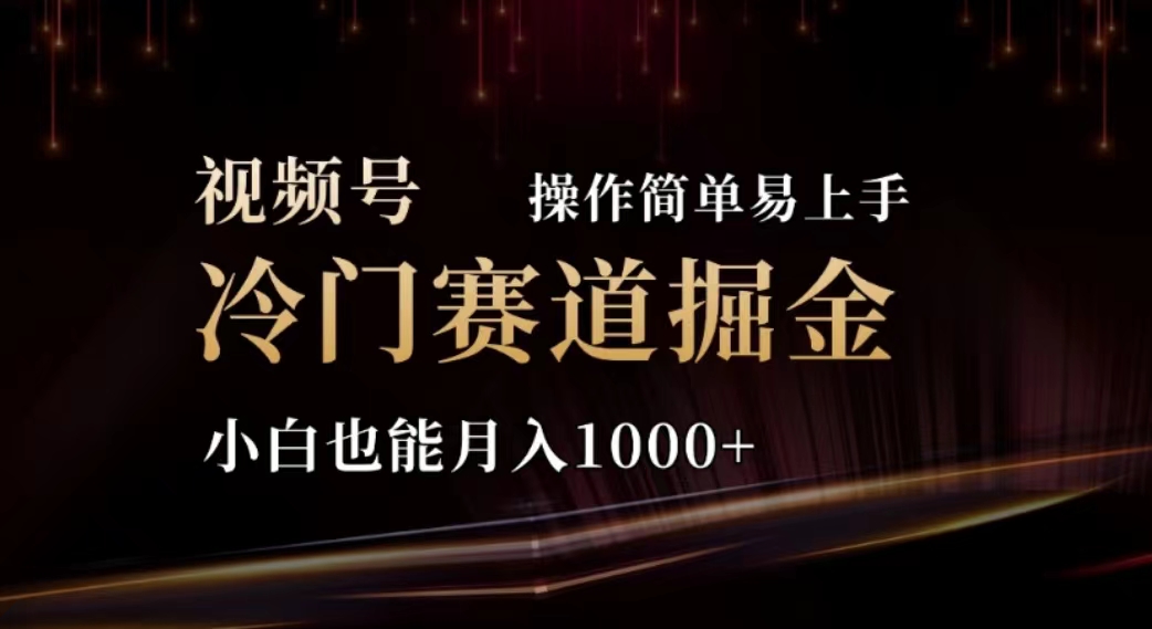 （11378期）2024视频号冷门赛道掘金，操作简单轻松上手，小白也能月入1000+-甄选网创