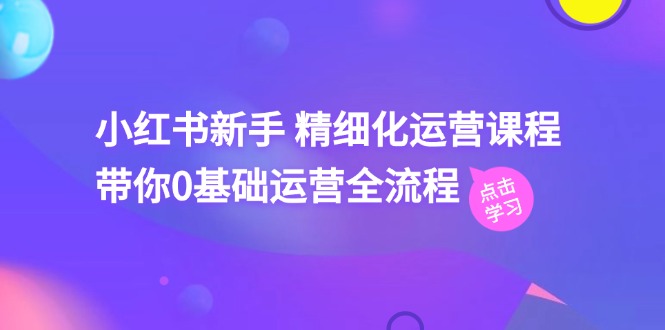 （11417期）小红书新手 精细化运营课程，带你0基础运营全流程（41节视频课）-甄选网创