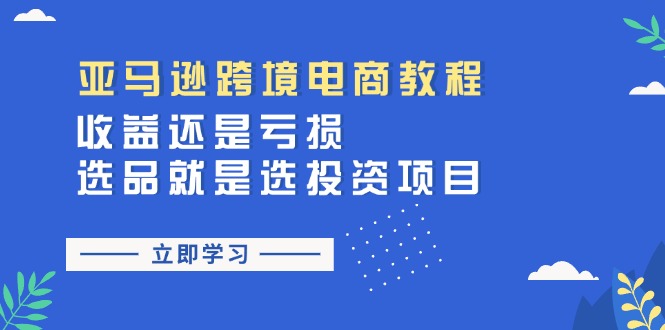 （11432期）亚马逊跨境电商教程：收益还是亏损！选品就是选投资项目-甄选网创