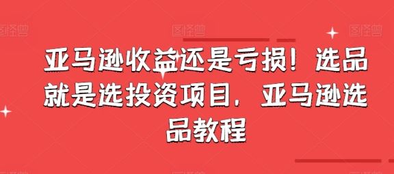 亚马逊收益还是亏损！选品就是选投资项目，亚马逊选品教程-甄选网创