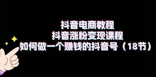 抖音电商教程：抖音涨粉变现课程：如何做一个赚钱的抖音号（18节）-甄选网创