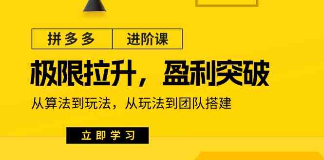 拼多多进阶课：极限拉升/盈利突破：从算法到玩法 从玩法到团队搭建（18节）-甄选网创