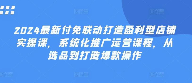 2024最新付免联动打造盈利型店铺实操课，​系统化推广运营课程，从选品到打造爆款操作-甄选网创