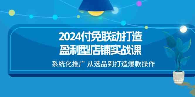 2024付免联动打造盈利型店铺实战课，系统化推广 从选品到打造爆款操作-甄选网创