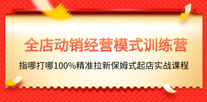 （11460期）全店动销-经营模式训练营，指哪打哪100%精准拉新保姆式起店实战课程-甄选网创