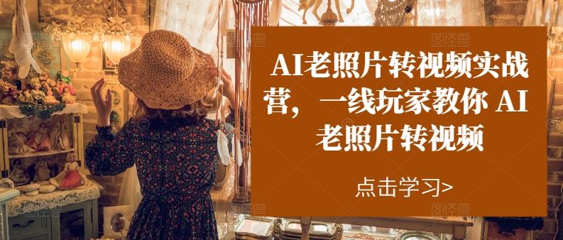 AI老照片转视频实战营，一线玩家教你AI老照片转视频-甄选网创