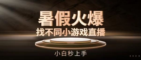 暑假火爆找不同小游戏直播间，小白秒上手【揭秘】-甄选网创