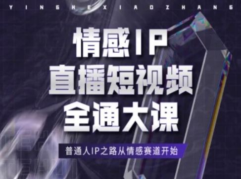 情感IP直播短视频全通大课，普通人IP之路从情感赛道开始-甄选网创