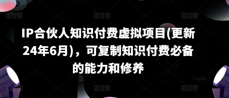 IP合伙人知识付费虚拟项目(更新24年6月)，可复制知识付费必备的能力和修养-甄选网创