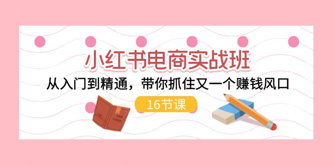 （11533期）小红书电商实战班，从入门到精通，带你抓住又一个赚钱风口（16节）-甄选网创