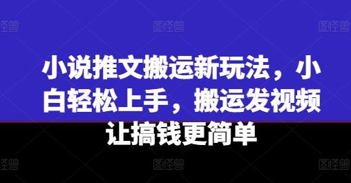 小说推文搬运新玩法，小白轻松上手，搬运发视频让搞钱更简单-甄选网创