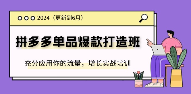 （11556期）2024拼多多-单品爆款打造班(更新6月)，充分应用你的流量，增长实战培训-甄选网创