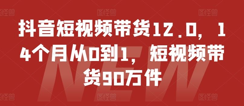 抖音短视频带货12.0，14个月从0到1，短视频带货90万件-甄选网创