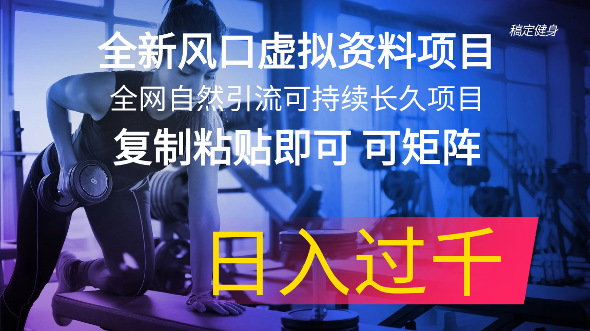 （11587期）全新风口虚拟资料项目 全网自然引流可持续长久项目 复制粘贴即可可矩阵…-甄选网创