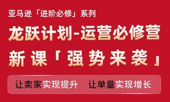 亚马逊进阶必修系列，龙跃计划-运营必修营新课，让卖家实现提升 让单量实现增长-甄选网创