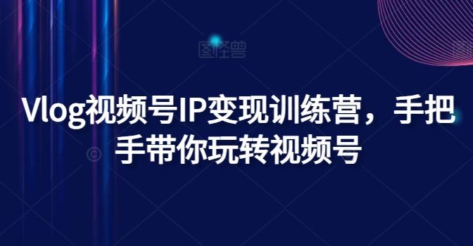 Vlog视频号IP变现训练营，手把手带你玩转视频号-甄选网创