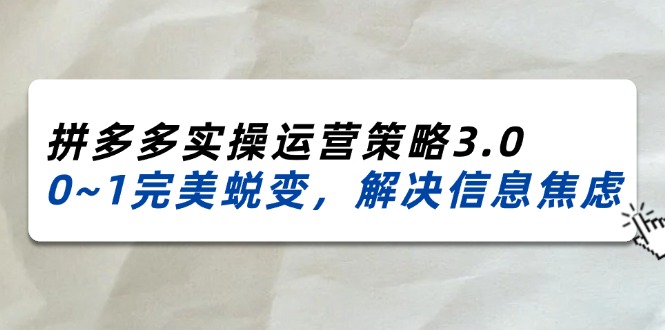 （11658期）2024_2025拼多多实操运营策略3.0，0~1完美蜕变，解决信息焦虑（38节）-甄选网创