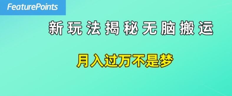 简单操作，每天50美元收入，搬运就是赚钱的秘诀【揭秘】-甄选网创