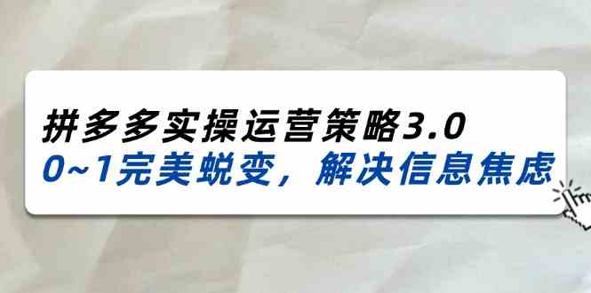 2024-2025拼多多实操运营策略3.0，0~1完美蜕变，解决信息焦虑（38节）-甄选网创