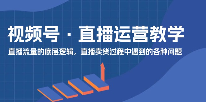 （11687期）视频号 直播运营教学：直播流量的底层逻辑，直播卖货过程中遇到的各种问题-甄选网创