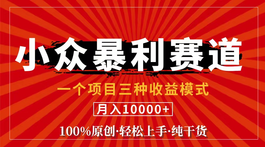 （11695期）视频号【中老年粉深信不疑】小众赛道 100%原创 手把手教学 新号3天收益…-甄选网创