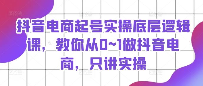 抖音电商起号实操底层逻辑课，教你从0~1做抖音电商，只讲实操-甄选网创