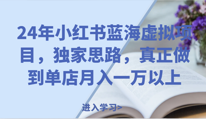 24年小红书蓝海虚拟项目，独家思路，真正做到单店月入一万以上。-甄选网创