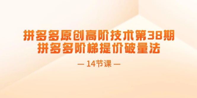 （11704期）拼多多原创高阶技术第38期，拼多多阶梯提价破量法（14节课）-甄选网创