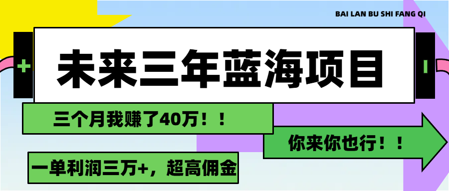 （11716期）未来三年，蓝海赛道，月入3万+-甄选网创