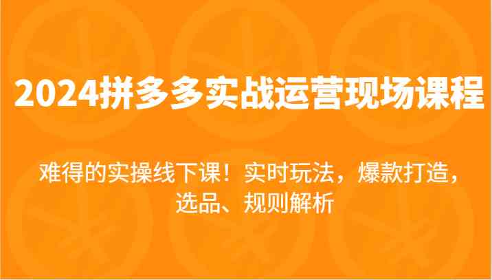 2024拼多多实战运营现场课，实时玩法，爆款打造，选品、规则解析，难得的实操线下课！-甄选网创