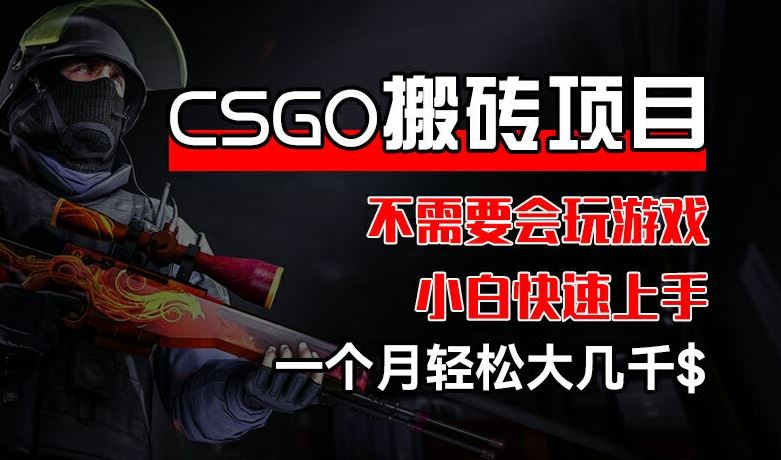 CSGO 装备搬砖项目，操作简单，不需要会玩游戏，小白也能快速上手，一个月轻松大几千【揭秘】-甄选网创