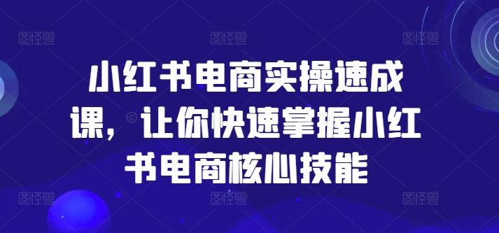 小红书电商实操速成课，让你快速掌握小红书电商核心技能-甄选网创