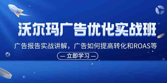 沃尔玛广告优化实战班，广告报告实战讲解，广告如何提高转化和ROAS等-甄选网创