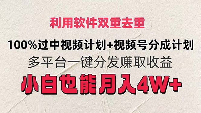 （11862期）利用软件双重去重，100%过中视频+视频号分成计划小白也可以月入4W+-甄选网创