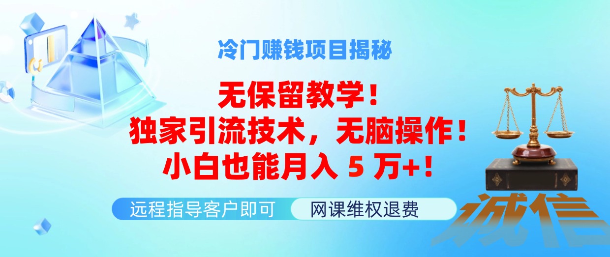 （11864期）冷门赚钱项目无保留教学！独家引流技术，无脑操作！小白也能月入5万+！-甄选网创