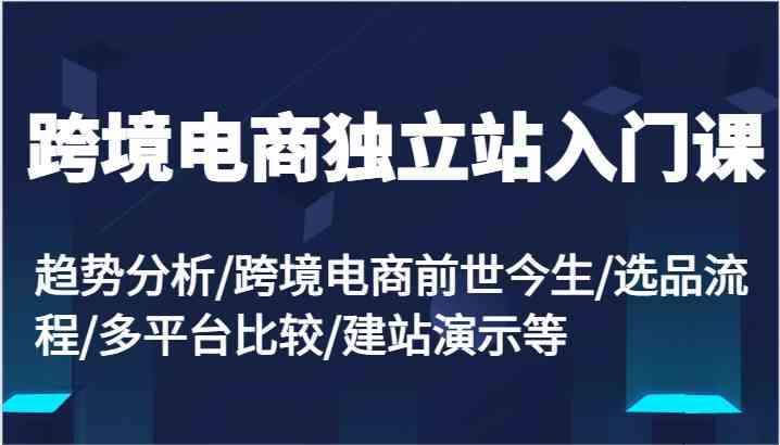 跨境电商独立站入门课：趋势分析/跨境电商前世今生/选品流程/多平台比较/建站演示等-甄选网创