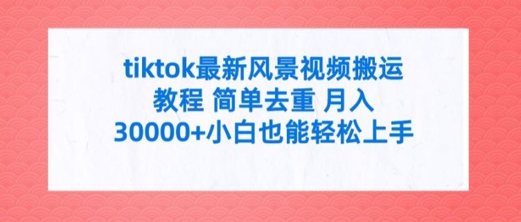 tiktok最新风景视频搬运教程 简单去重 月入3W+小白也能轻松上手【揭秘】-甄选网创