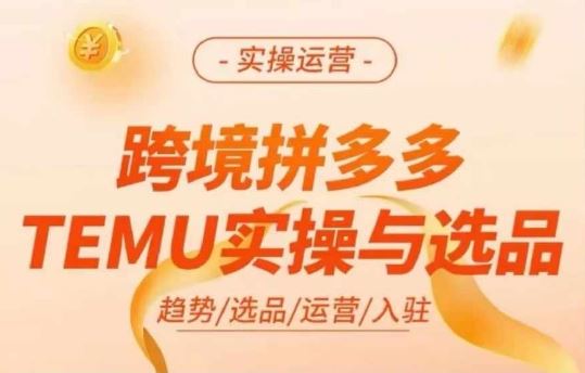 跨境拼多多TEMU实操与选品，多多temu跨境选品运营实操-甄选网创