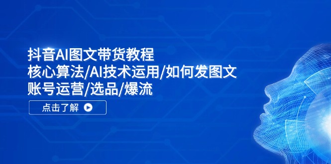 （11958期）抖音AI图文带货教程：核心算法/AI技术运用/如何发图文/账号运营/选品/爆流-甄选网创