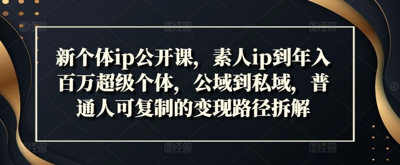 新个体ip公开课，素人ip到年入百万超级个体，公域到私域，普通人可复制的变现路径拆解-甄选网创