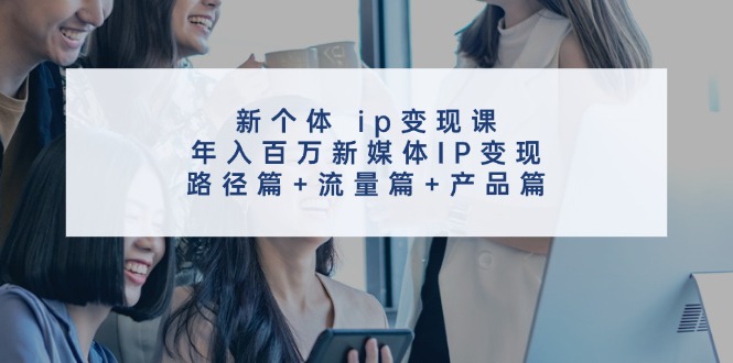 （11971期）新个体 ip变现课，年入百万新媒体IP变现，路径篇+流量篇+产品篇-甄选网创