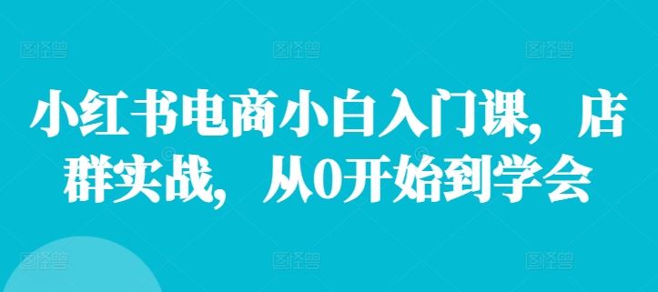 小红书电商小白入门课，店群实战，从0开始到学会-甄选网创